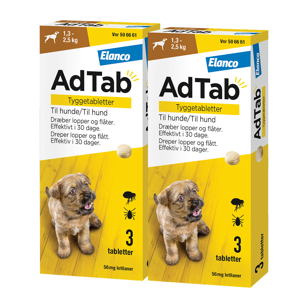 56 mg tyggetabletter til hund x2
