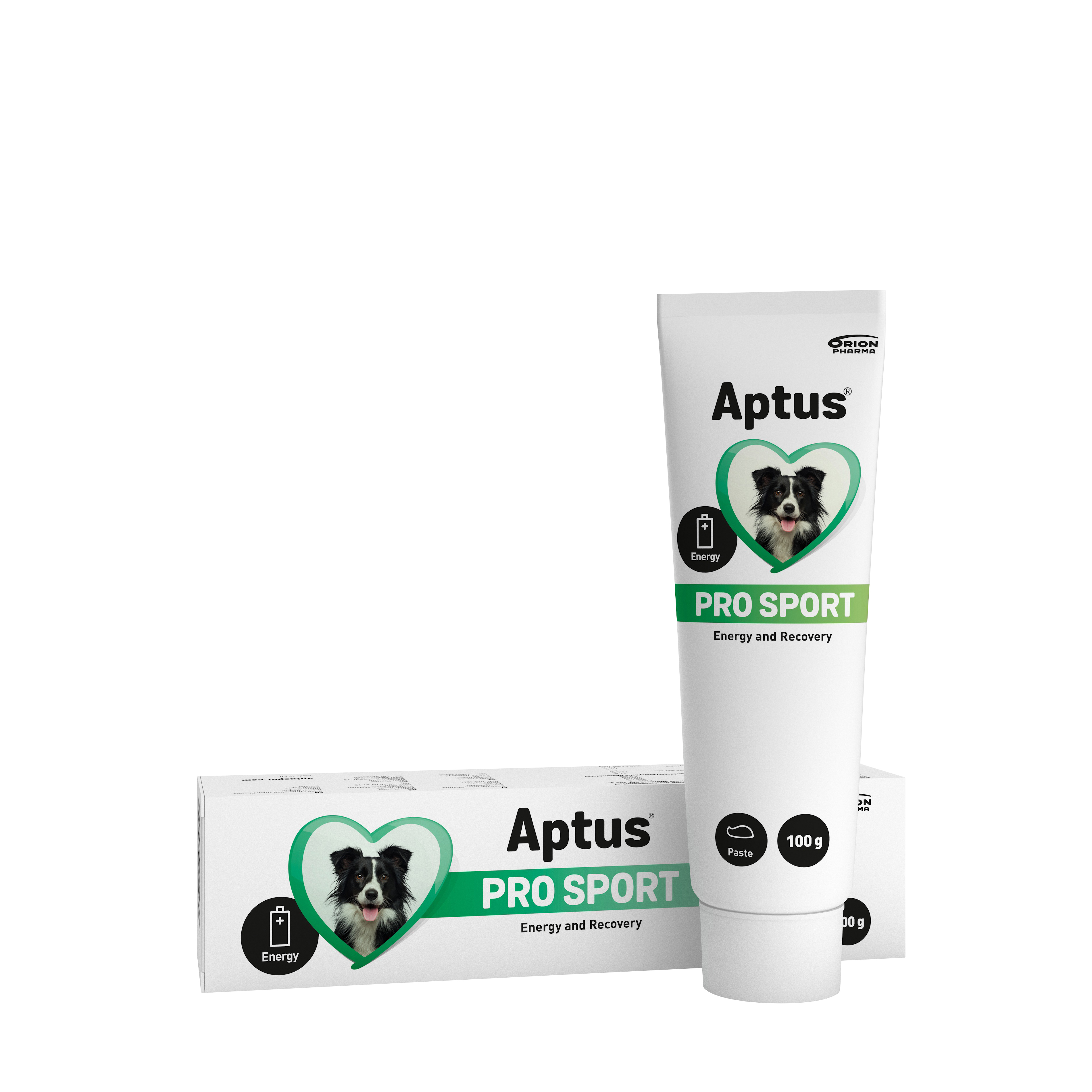 Aptus Aptus Pro Sport, 100 gram