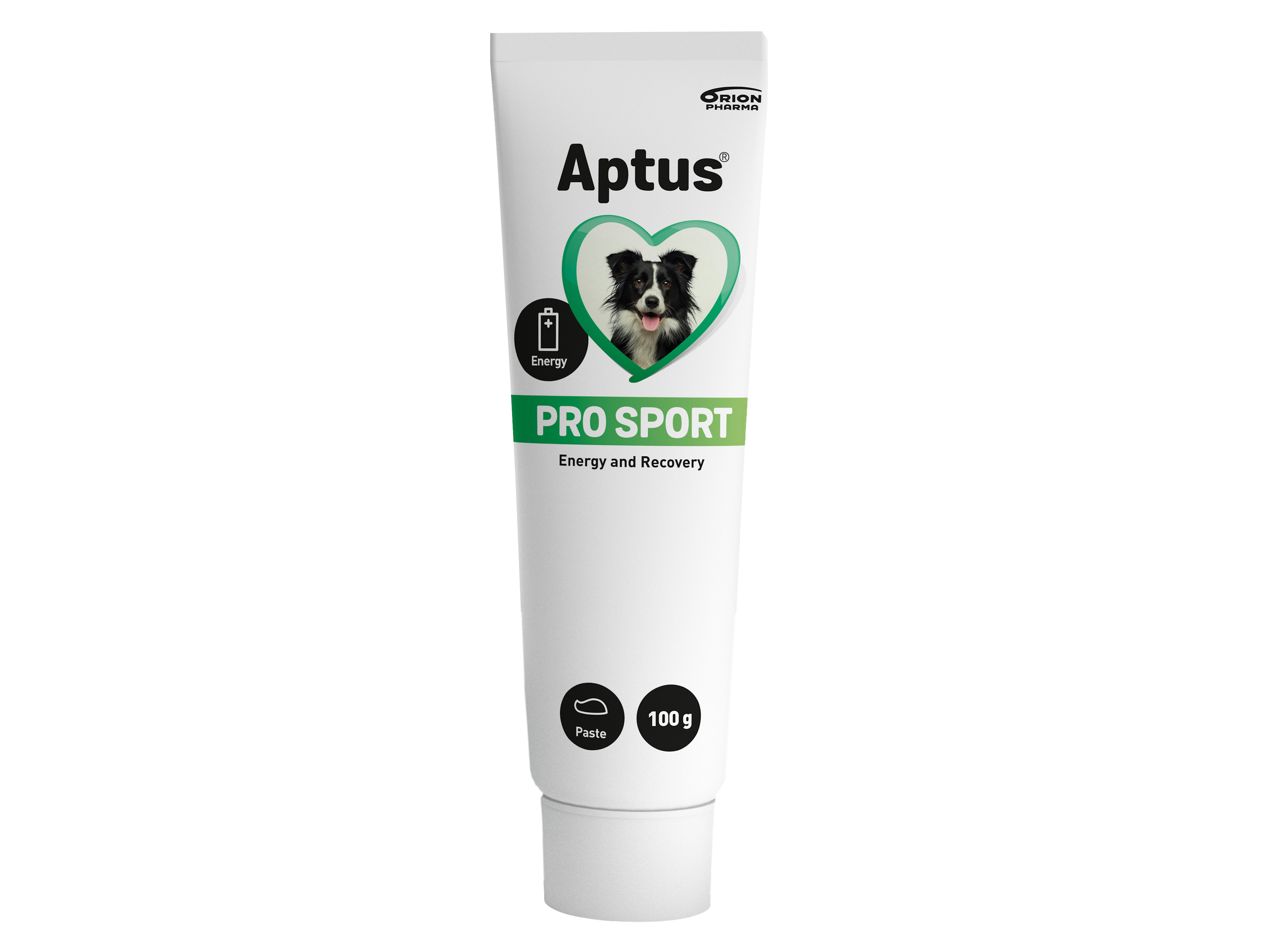 Aptus Pro Sport, 100 gram