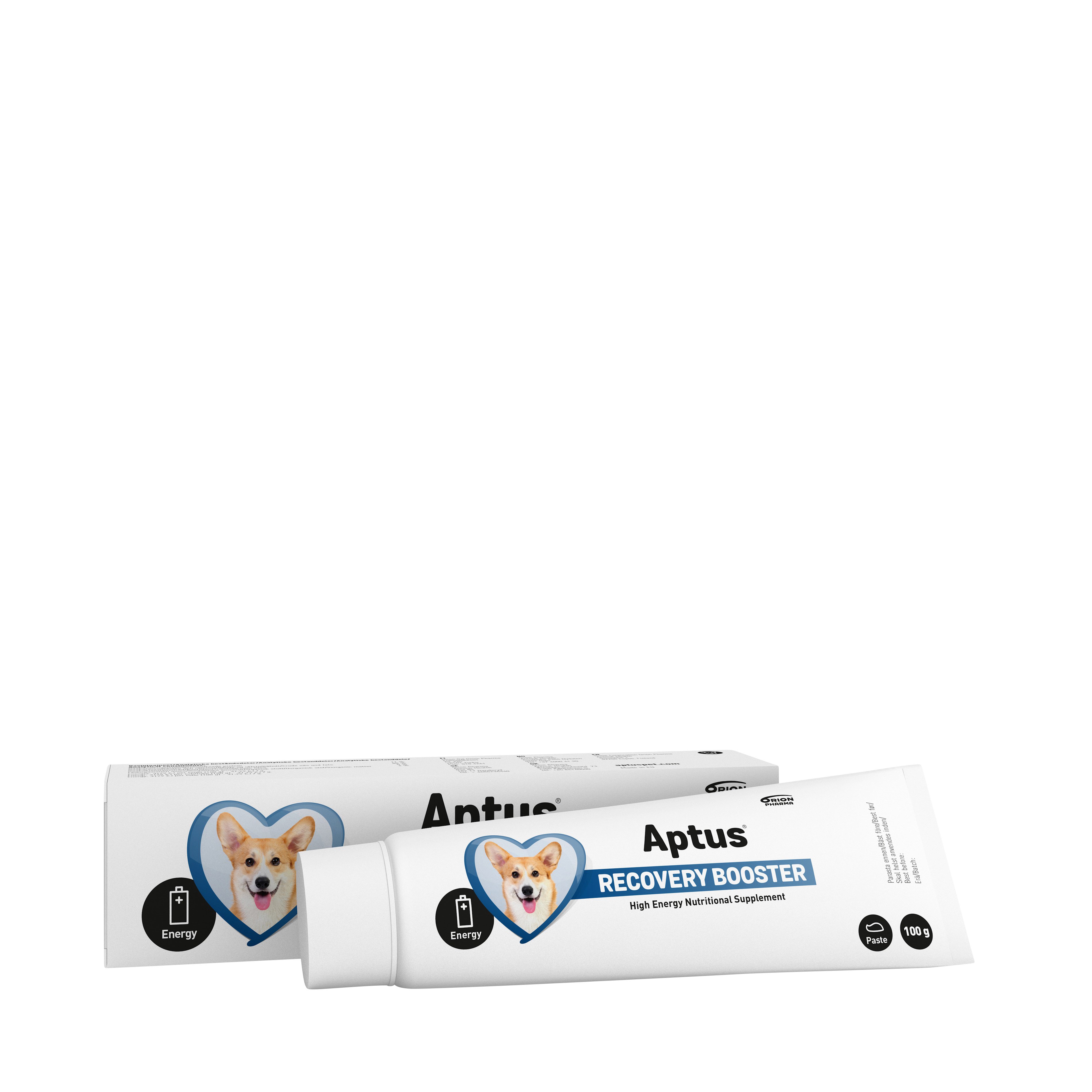 Aptus Recovery Booster Dog, 100 g