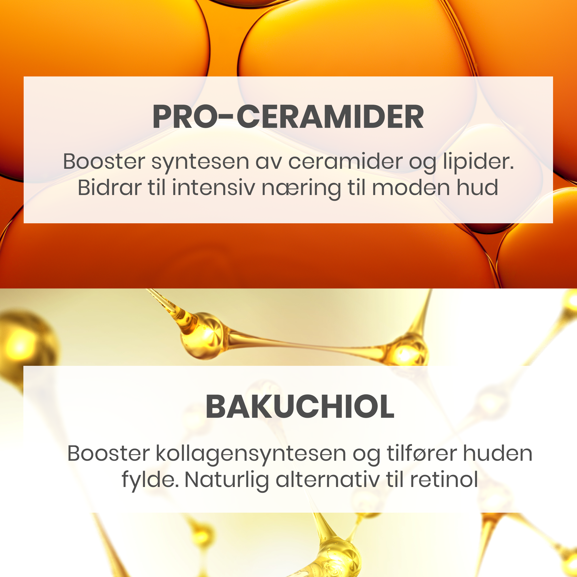 Avène Dermabsolu Day Dagkrem, 50 ml