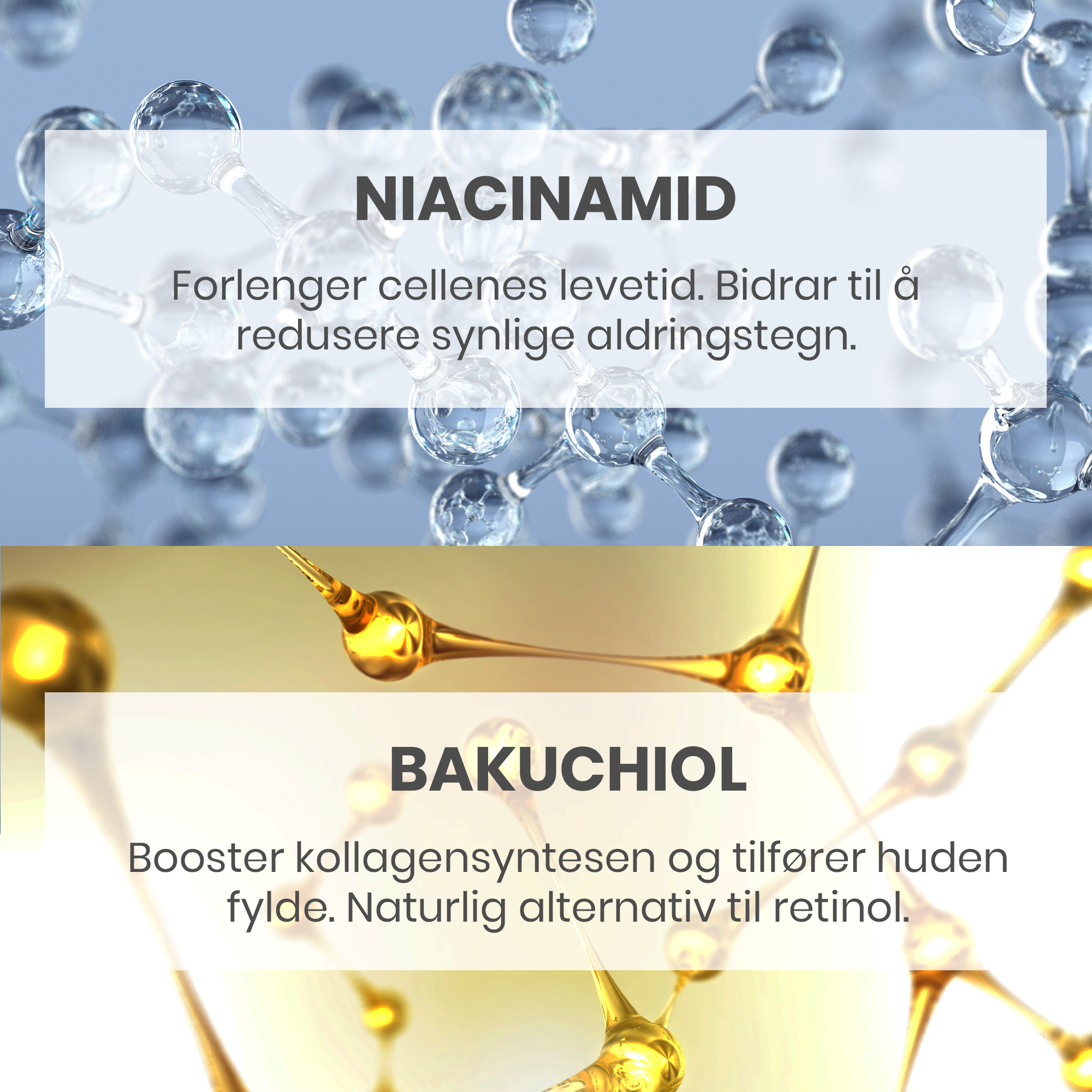 Avène Dermabsolu Night Nattkrem, 40 ml