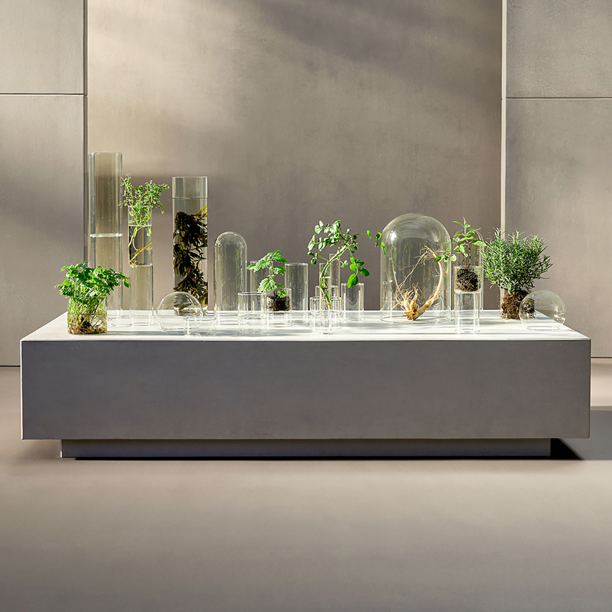 BABOR Doctor Babor Regeneration The Cure Cream, 50 ml