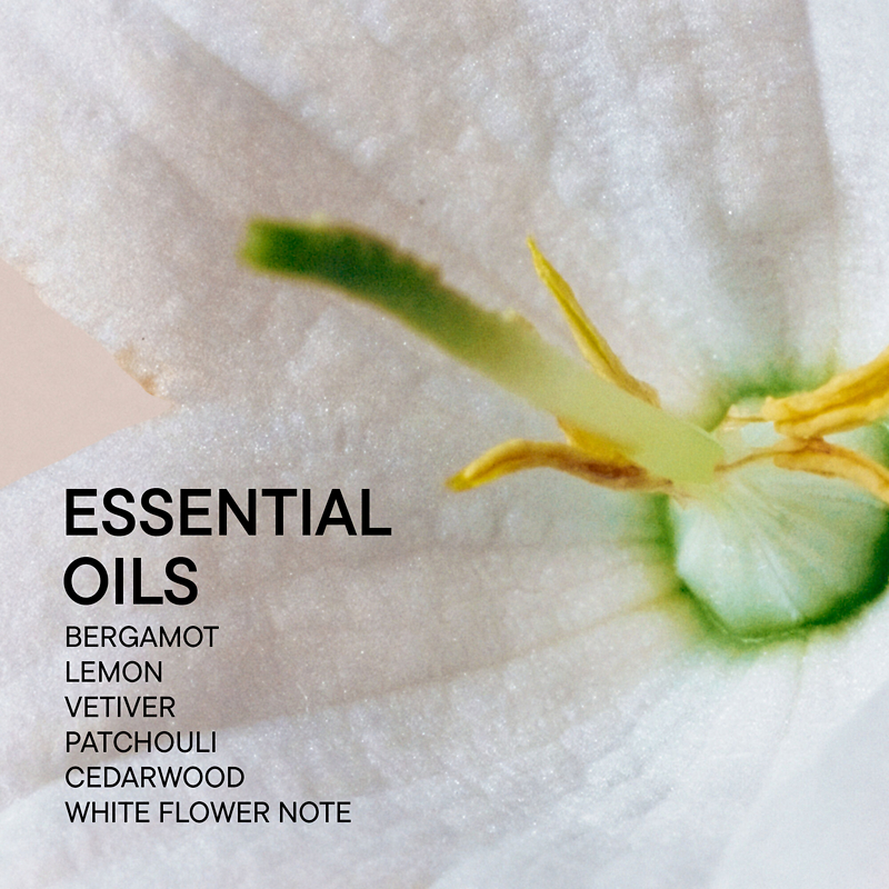 BABOR SOUL & ROOM Fragrance Grounding, 250 ml