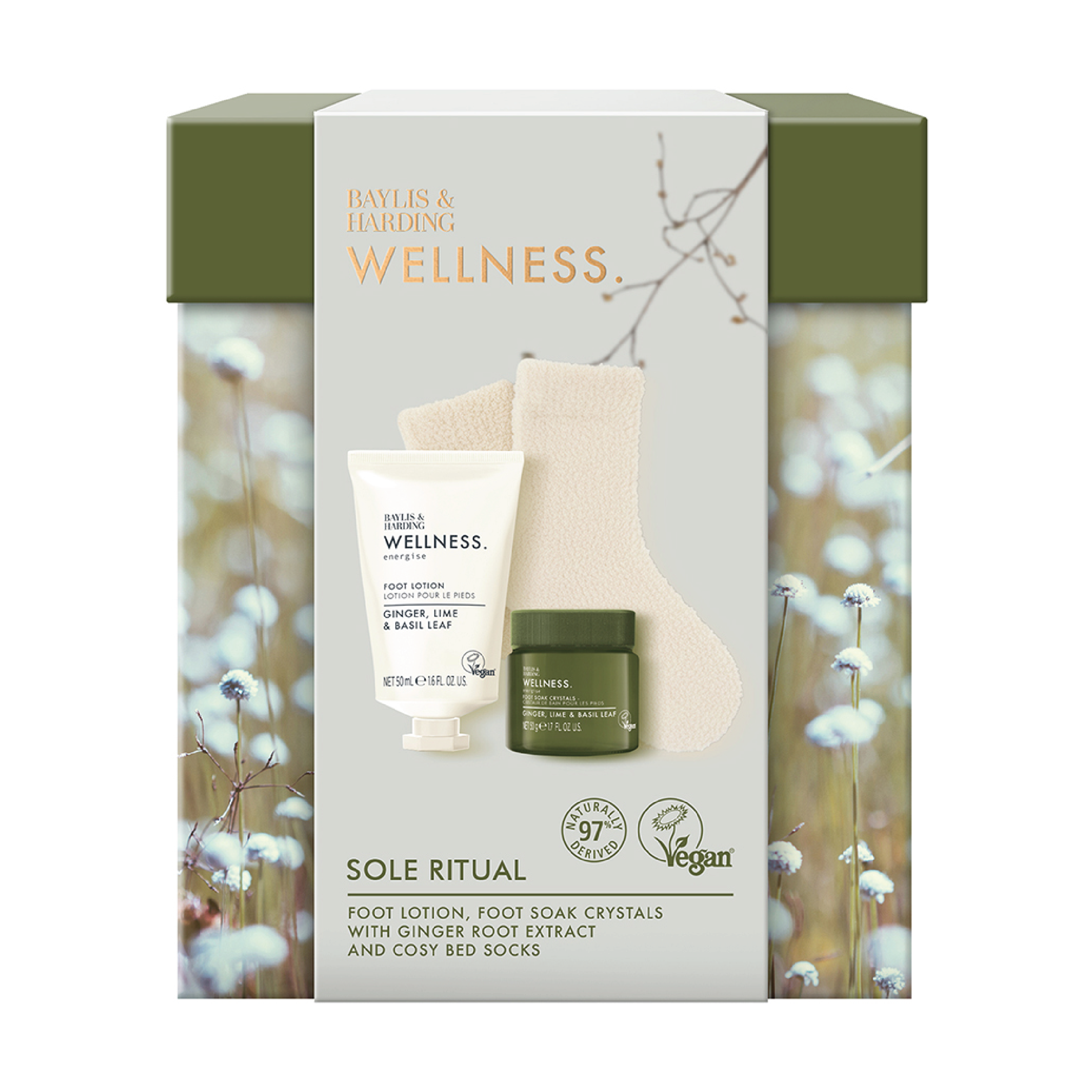 Baylis & Harding Wellness Sole Ritual Gift Set, 1 sett