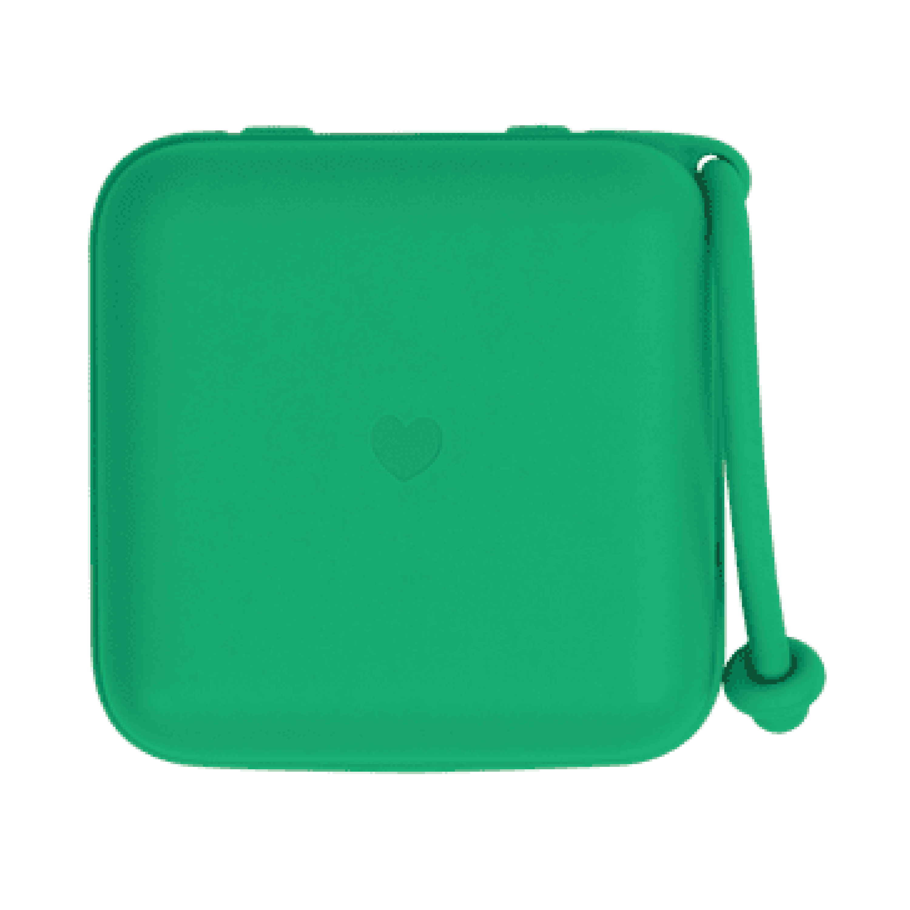 BIBS Pacifier Box, Cactus, 1 stk.