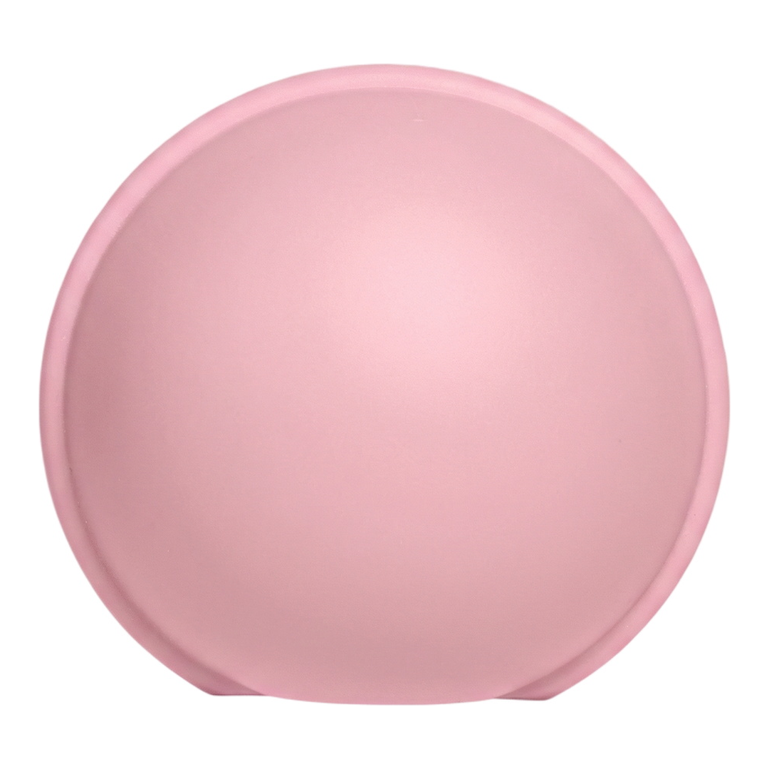 BIBS Pacifier Case Mini, Baby pink, 1 stk.