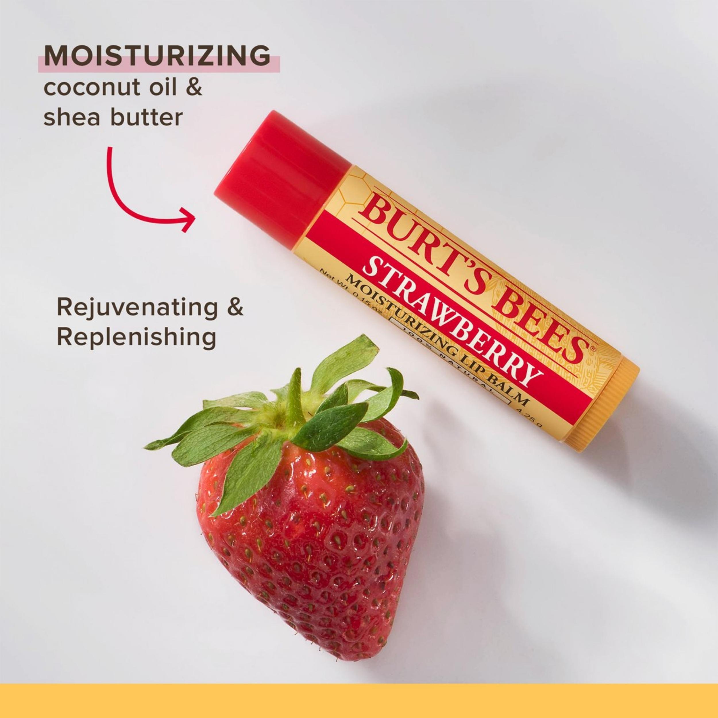 Burt's Bees Lip Balm Assorted, 4 x 4,25 g