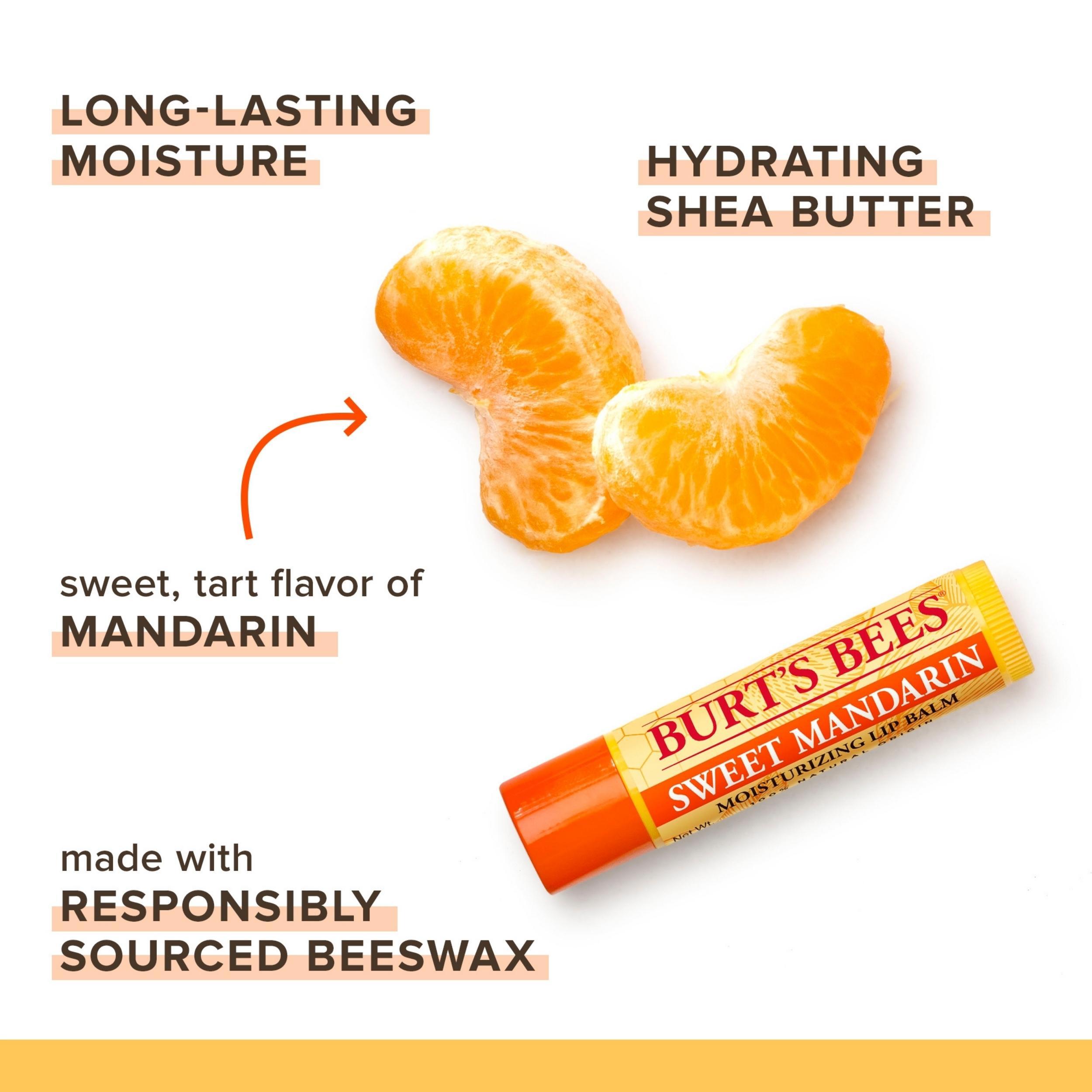 Burt's Bees Lip Balm Freshly Picked, 4 x 4,25 g
