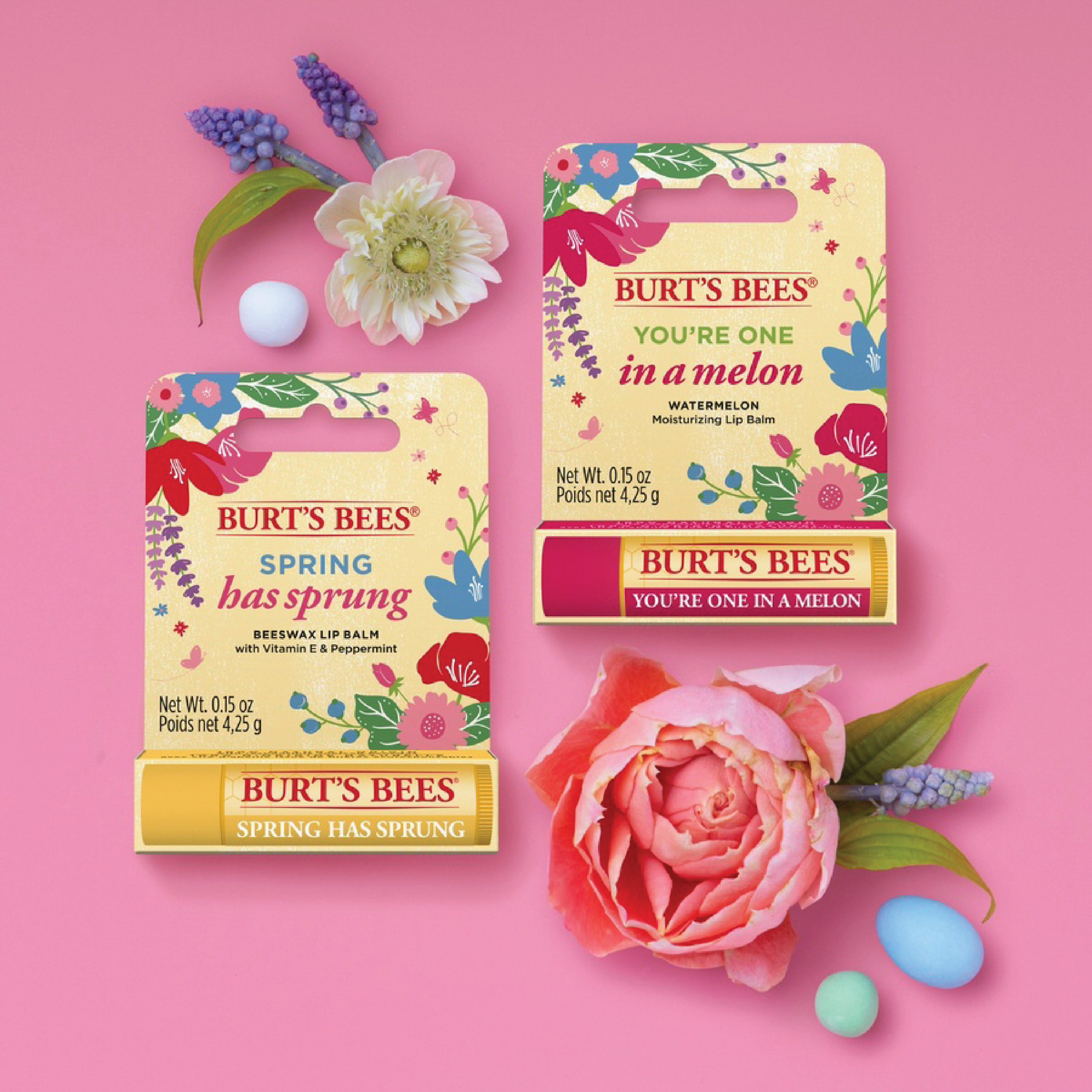 Burt's Bees Lip Balm Spring Has Sprung, 4,25 g