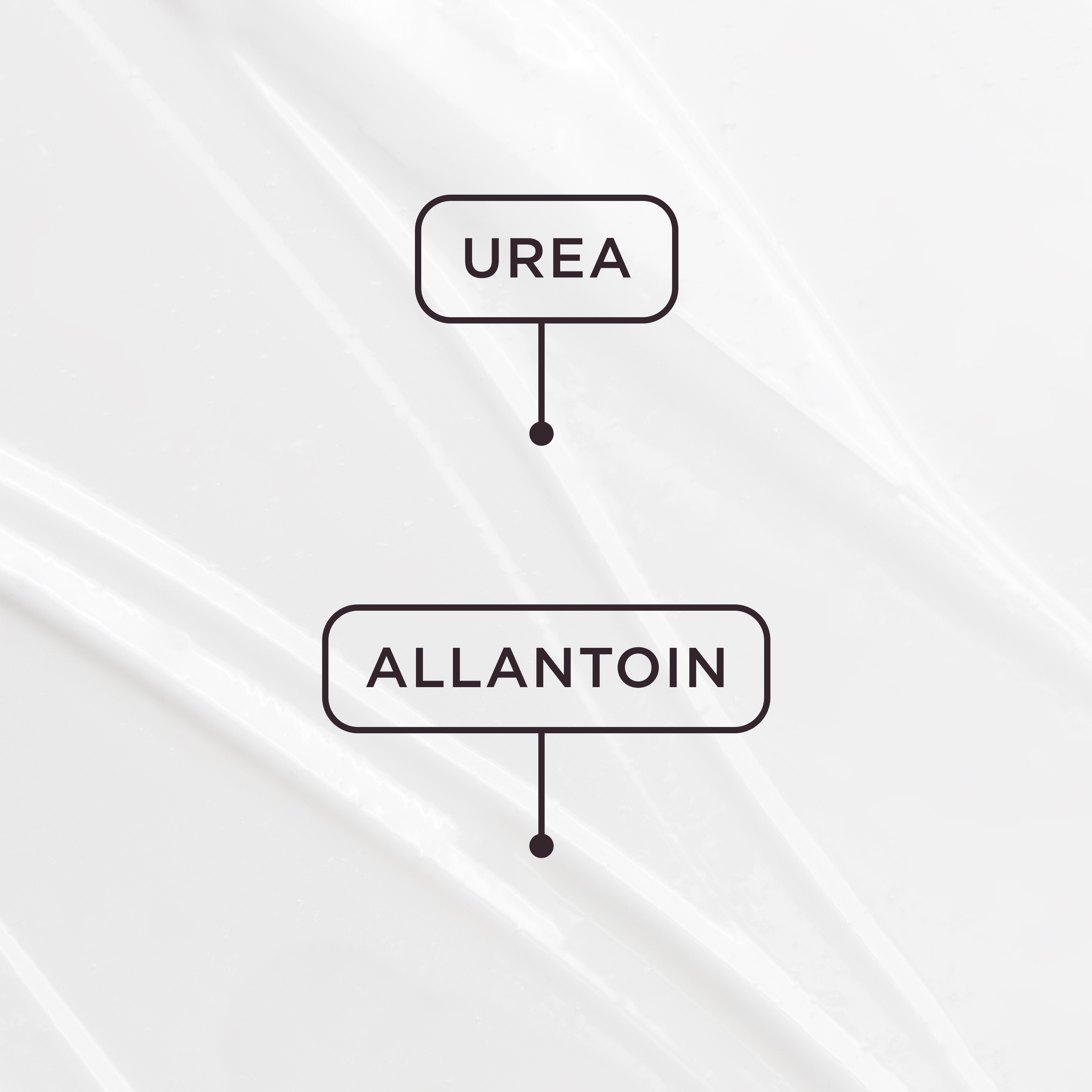 Cosmica Face Nourishing Night Cream, 50 ml