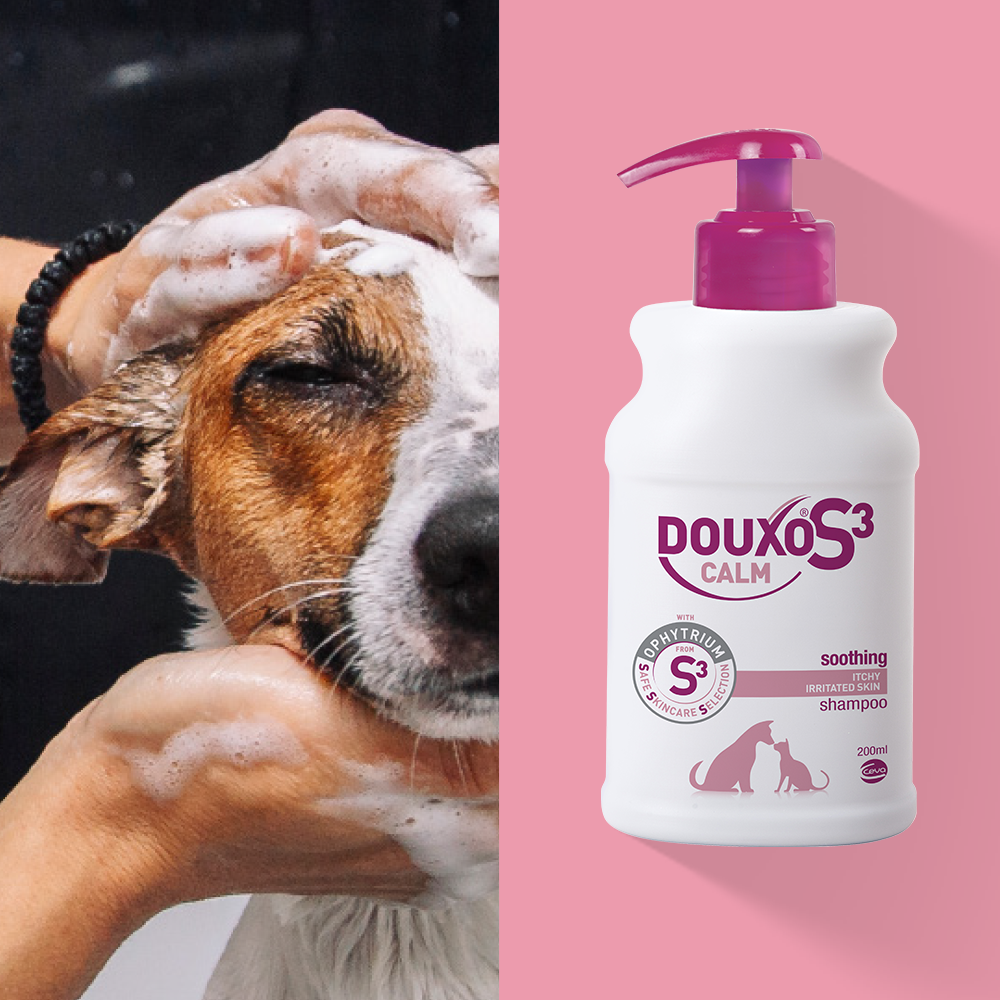 DOUXO S3 Calm Shampoo, 200 ml