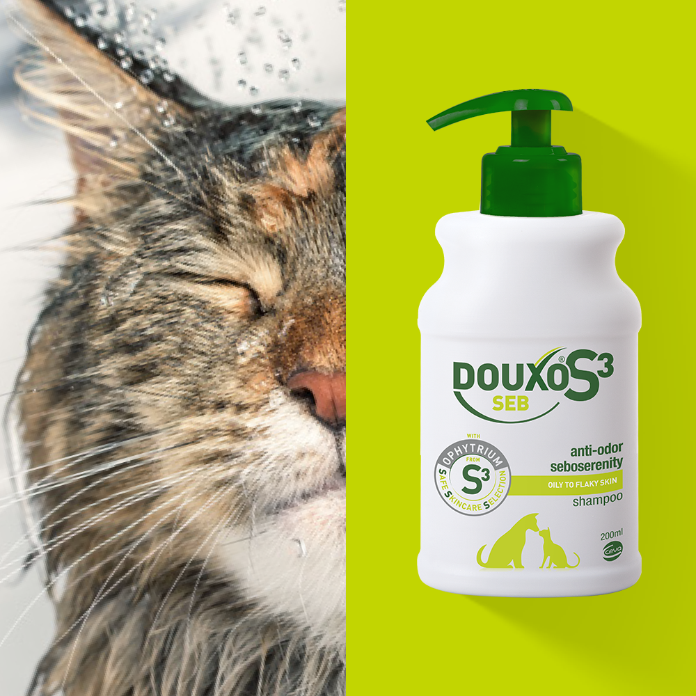 DOUXO S3 Seb Shampoo, 200 ml