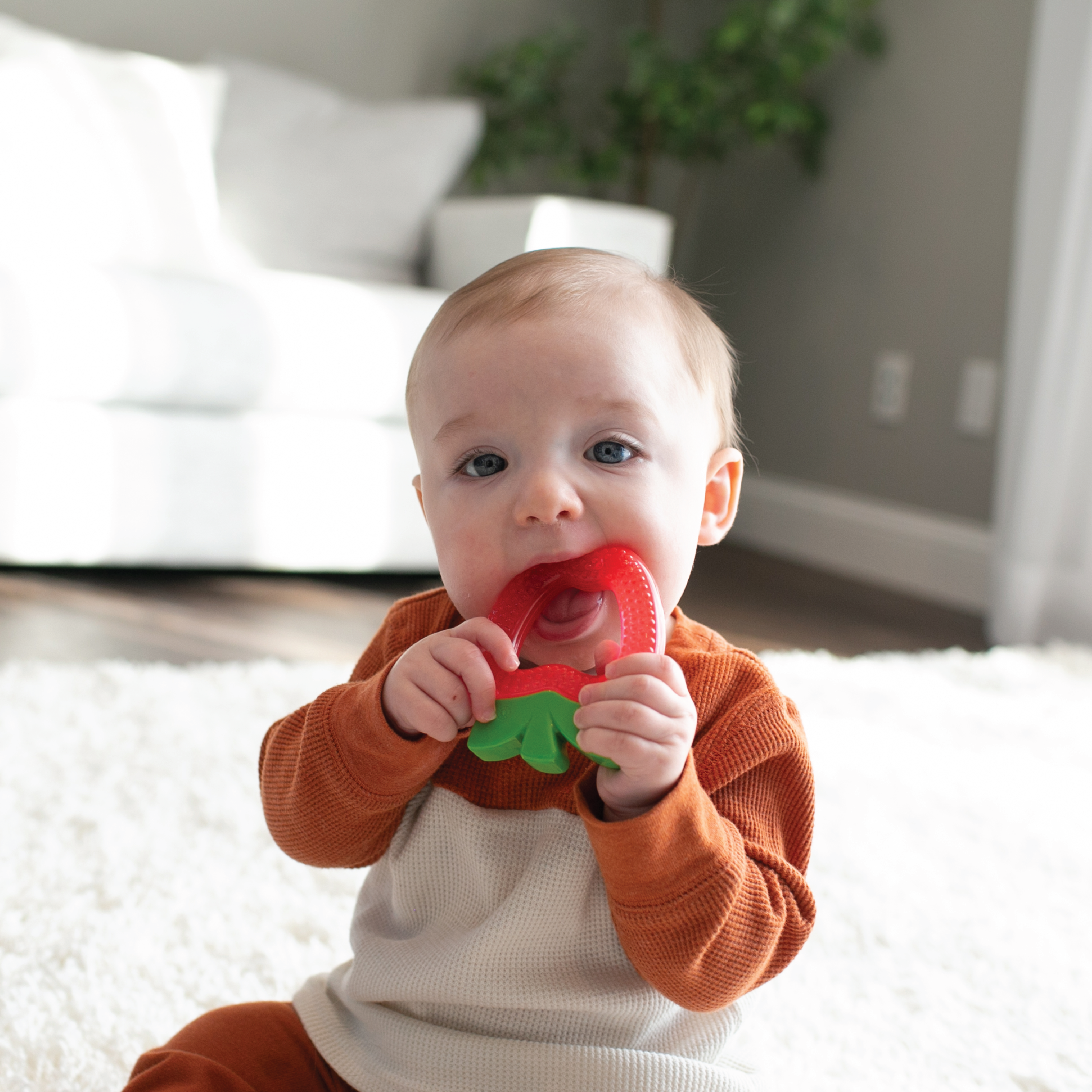 Dr. Brown's AquaCool Water Filled Teether Apple, 1 stk.
