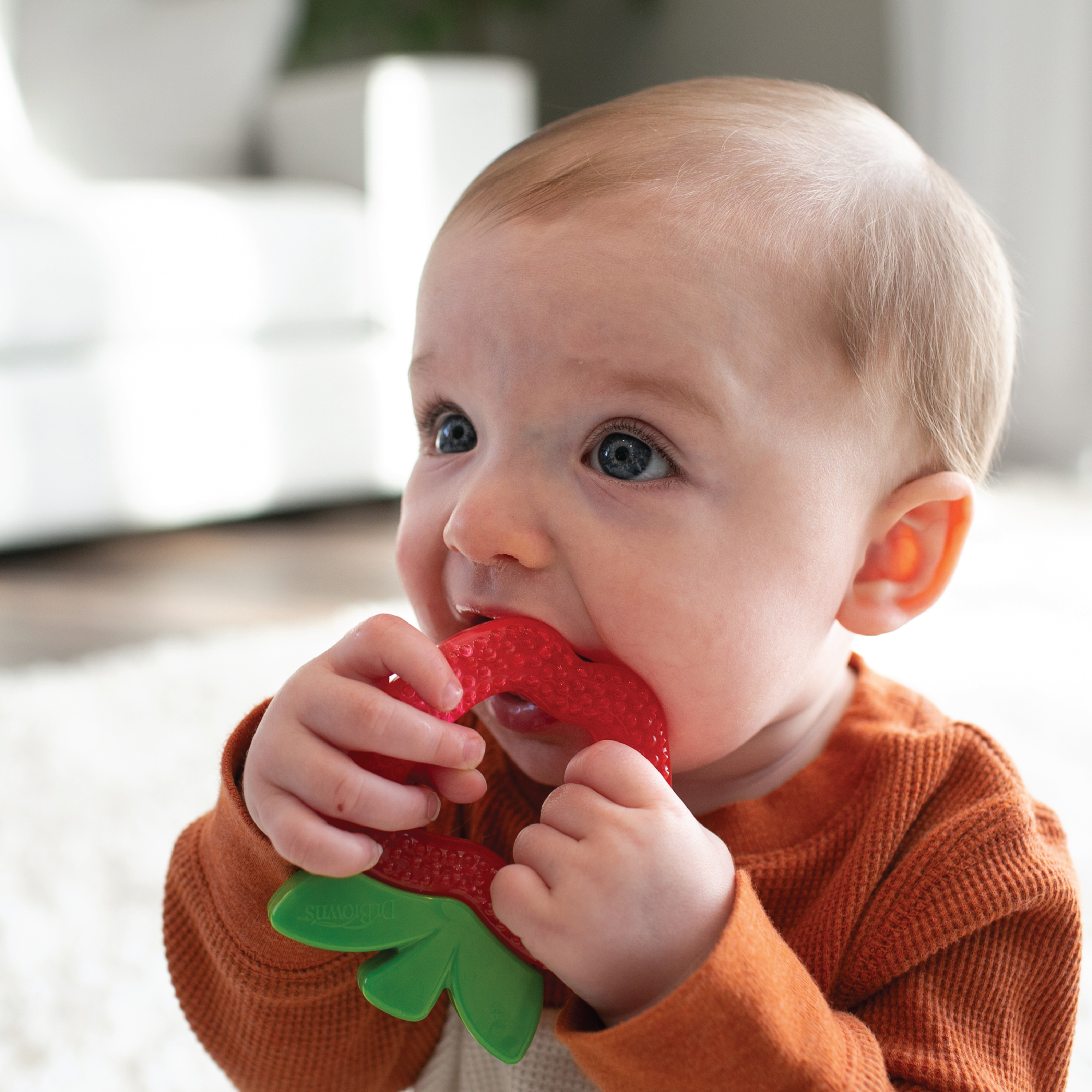 Dr. Brown's AquaCool Water Filled Teether Apple, 1 stk.