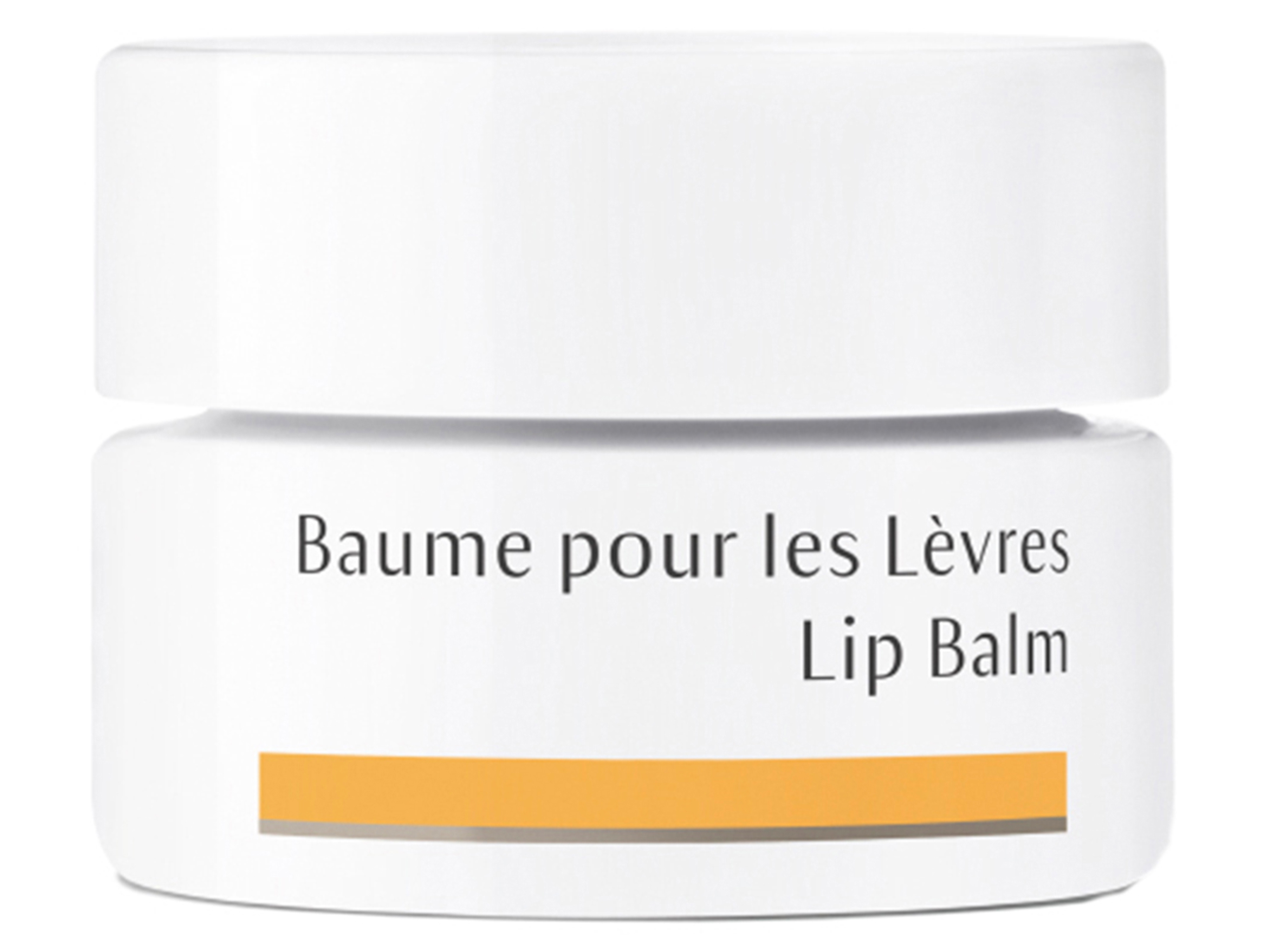 Dr. Hauschka Lip Balm, 4,5 ml