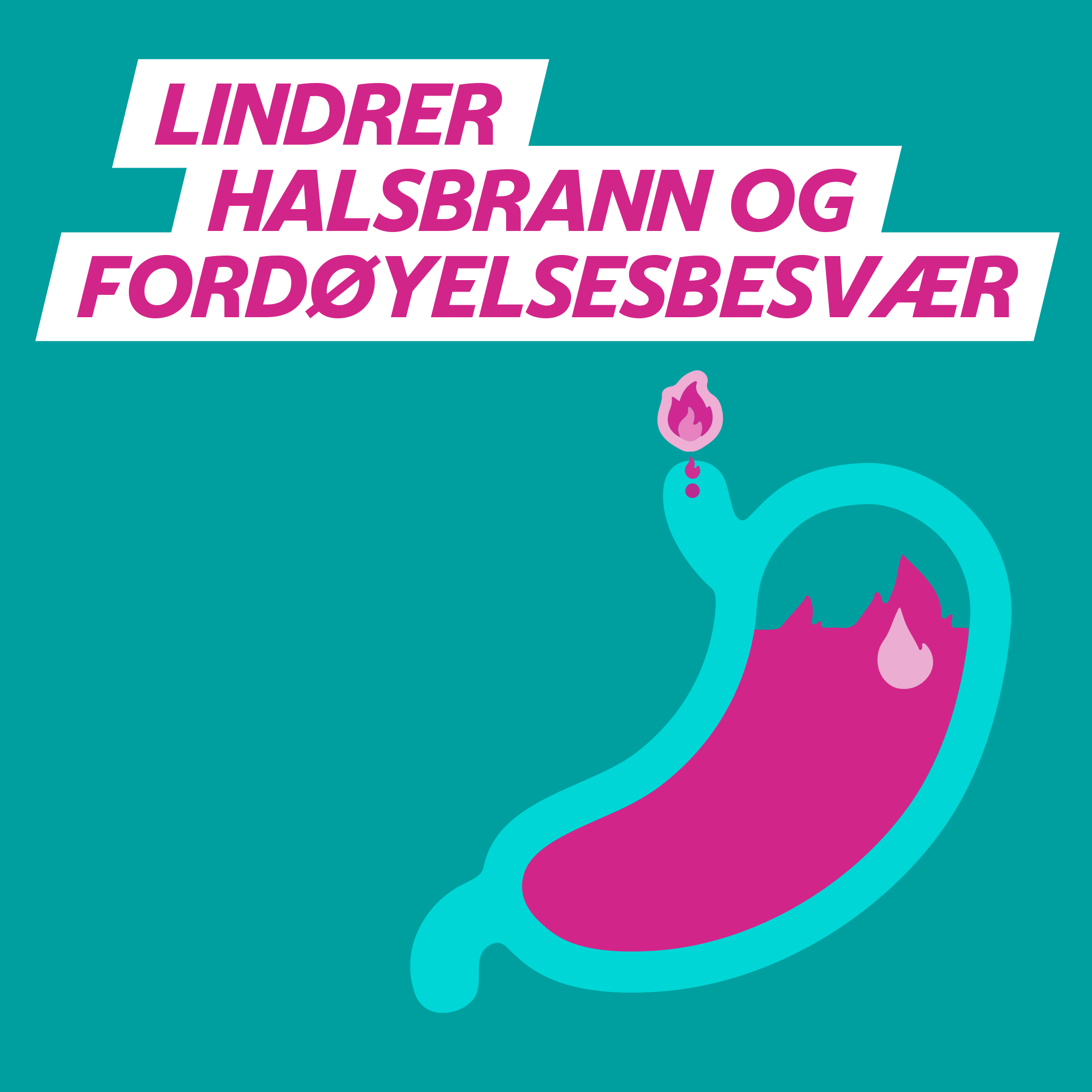 Galieve Tyggetabletter peppermyntesmak, 24 stk.