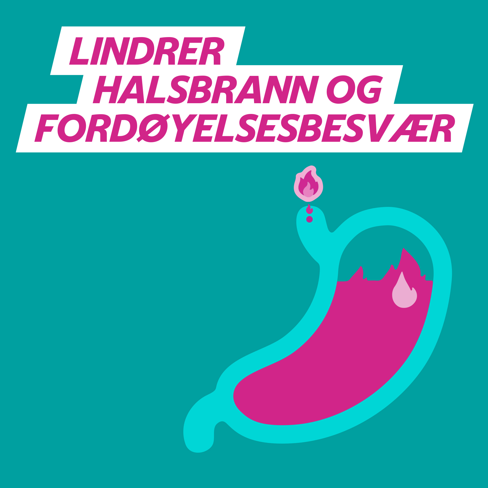 Galieve Tyggetabletter peppermyntesmak, 48 stk.