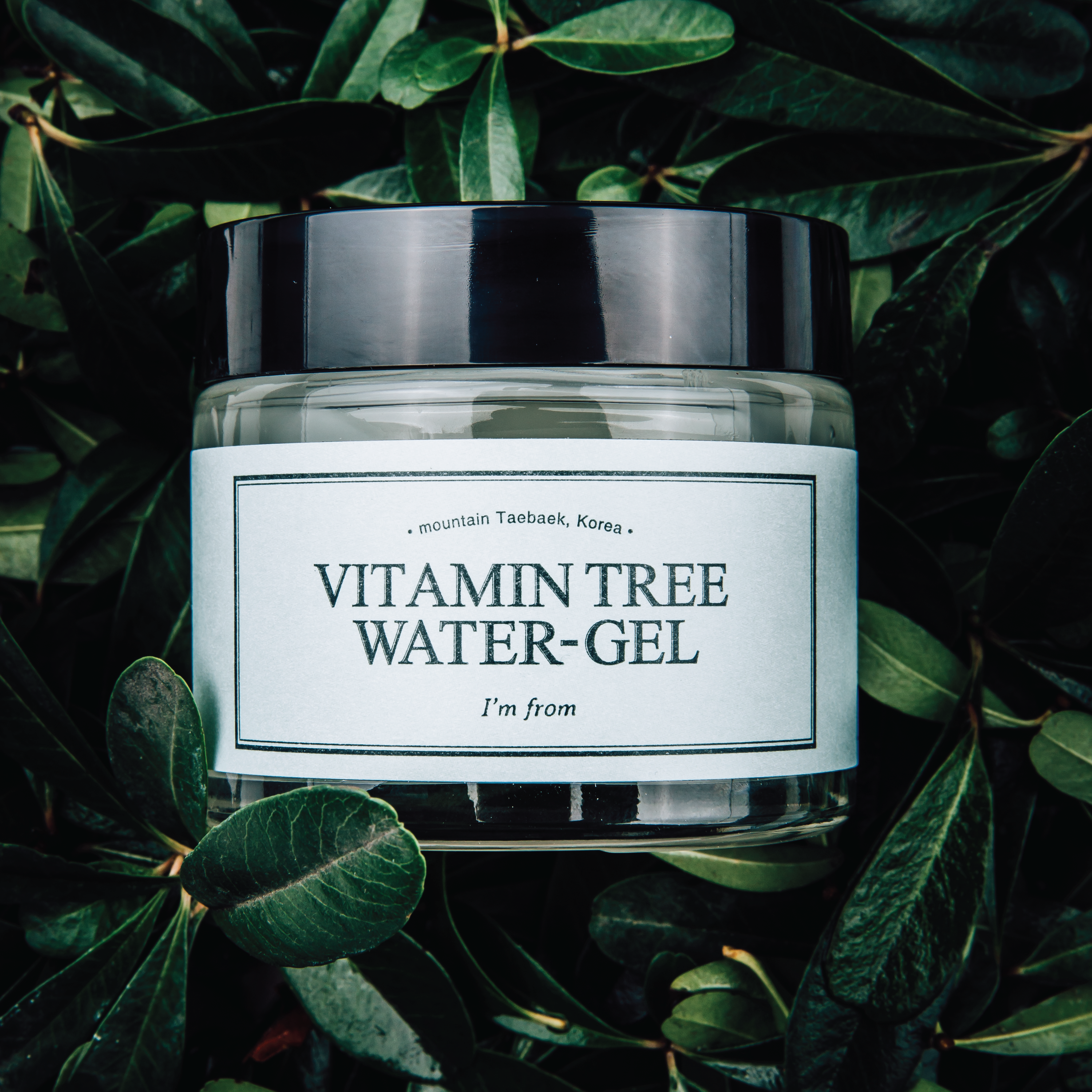 I'm From Vitamin Tree Water-Gel, 75 g