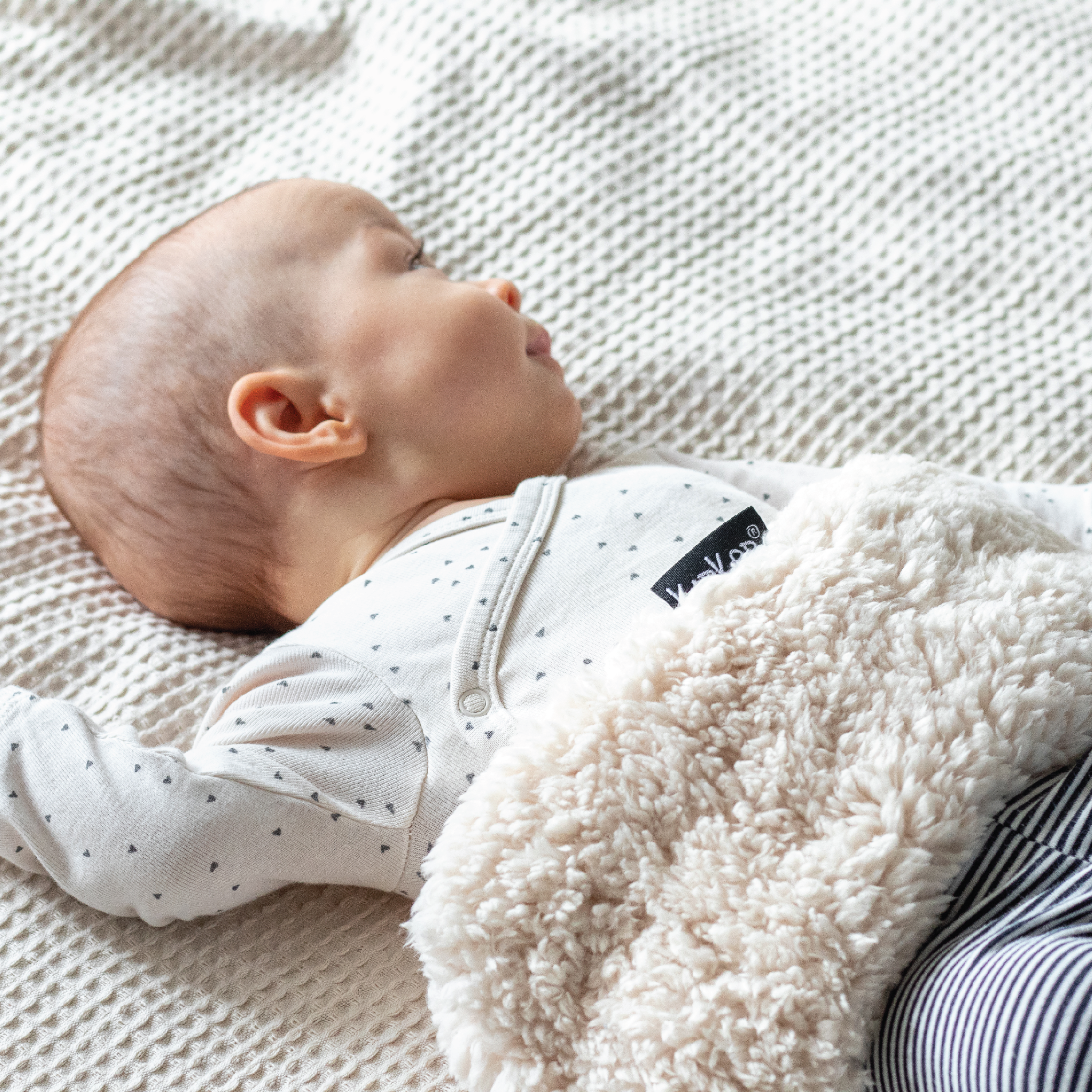 KipKep Woller Varmepute, Teddy, 1 stk.