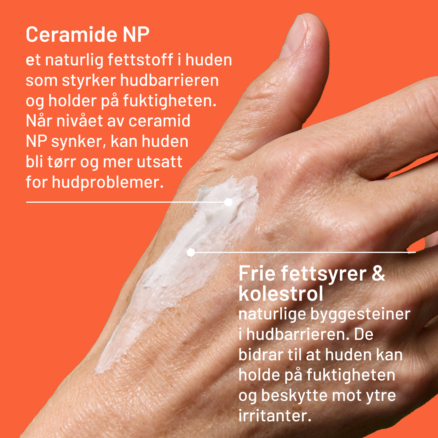 Locobase Repair krem, 100 g