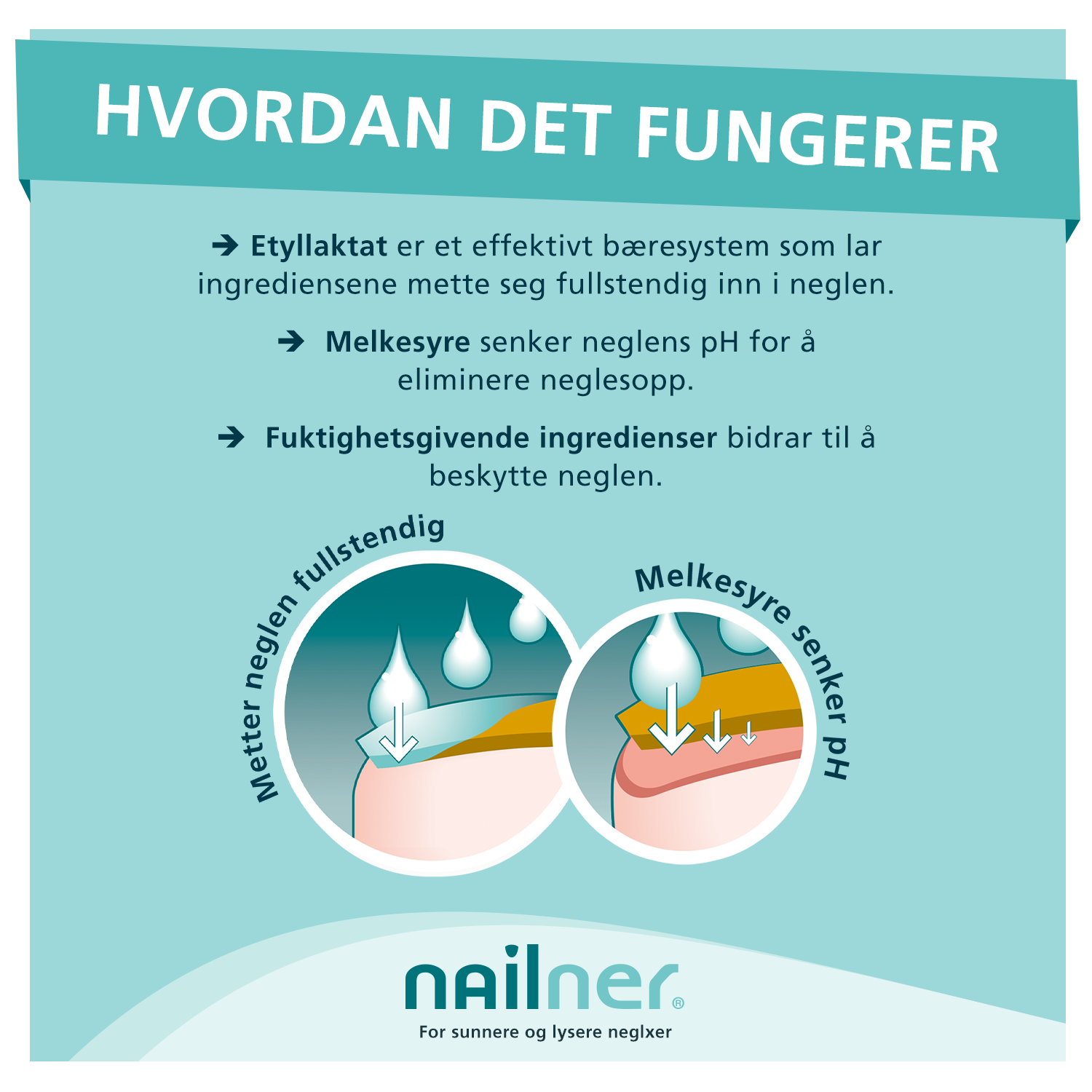 Nailner 2-i-1 Penn Mot Neglesopp, 1 stk.