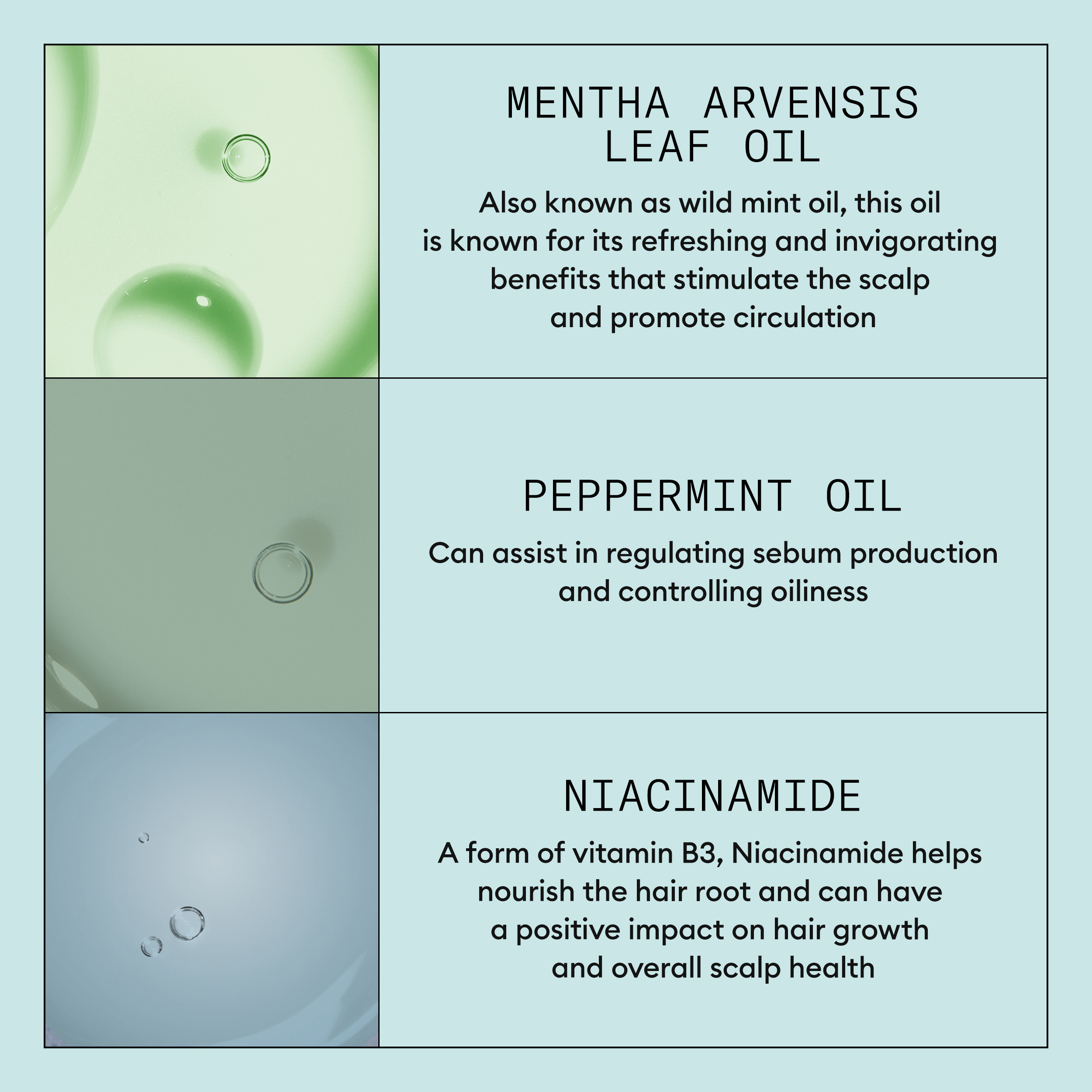 Nioxin Scalp Recovery System, 200 ml + 200 ml + 100 ml