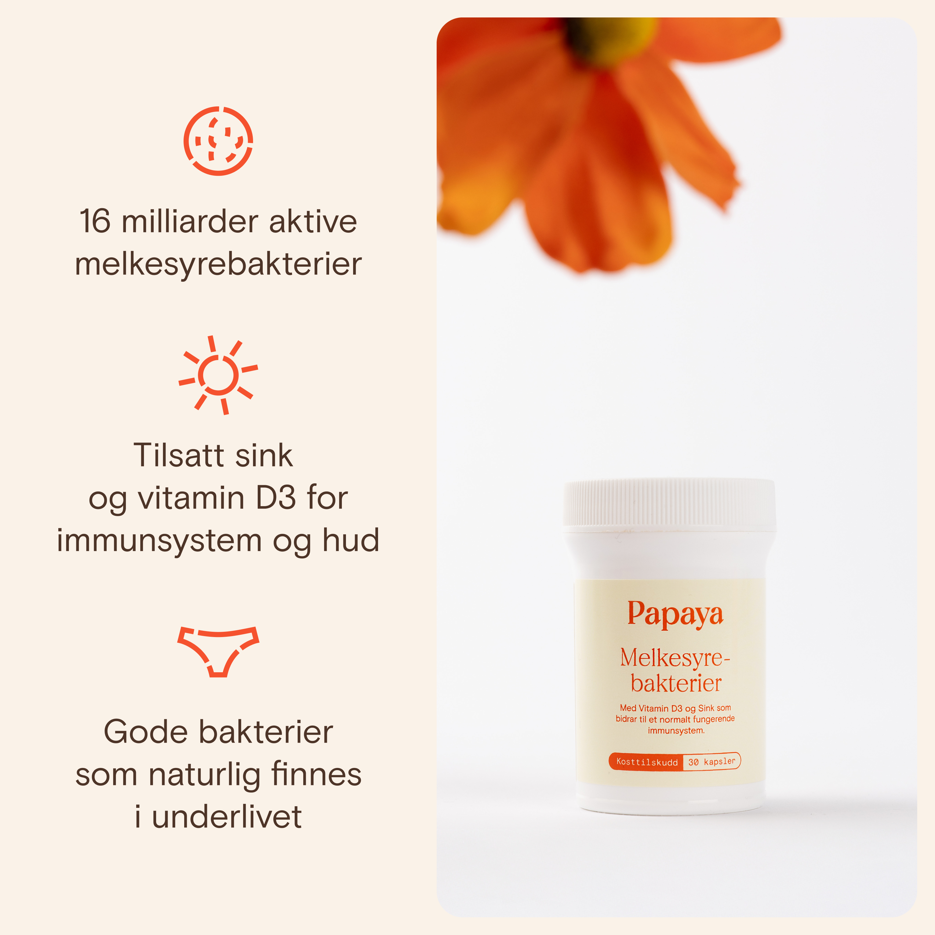 Papaya Melkesyrebakterier kapsler, 30 stk.