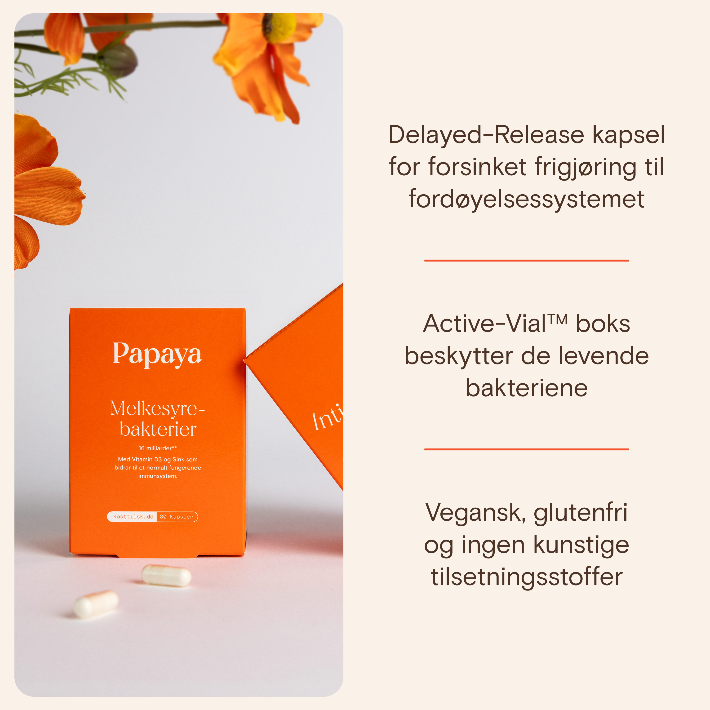 Papaya Melkesyrebakterier kapsler, 30 stk.