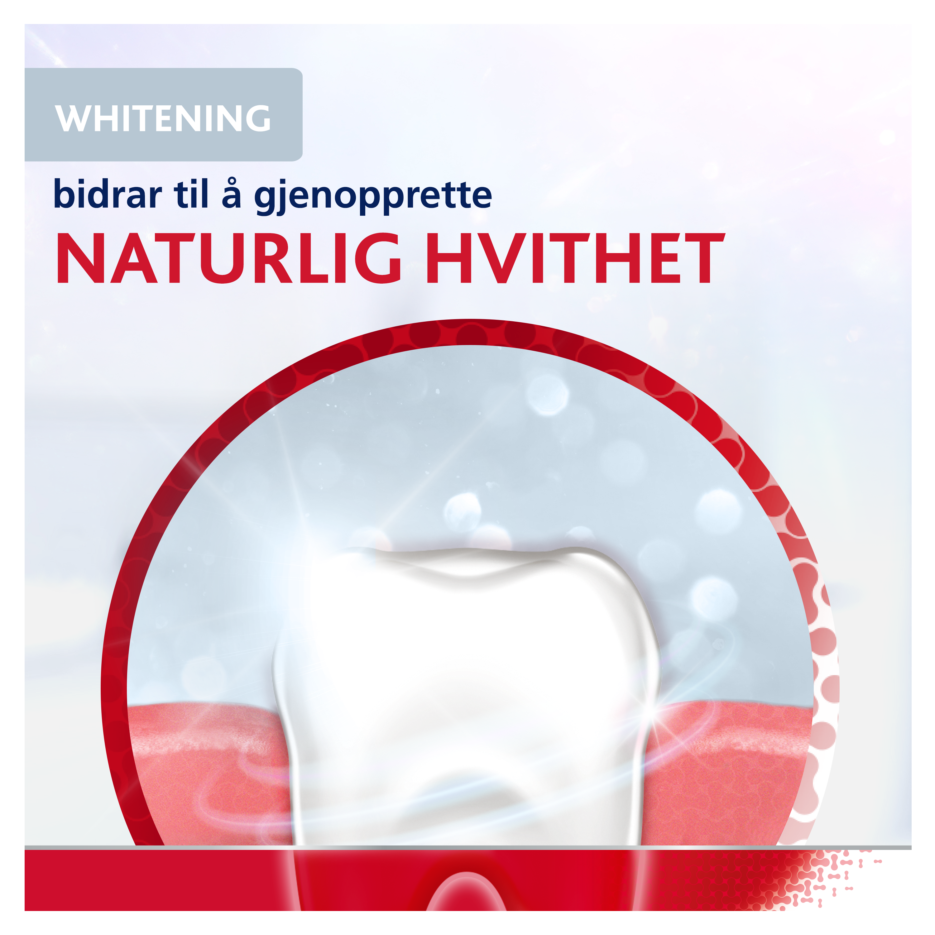 Parodontax Active Gum Repair Tannkrem, 75 ml