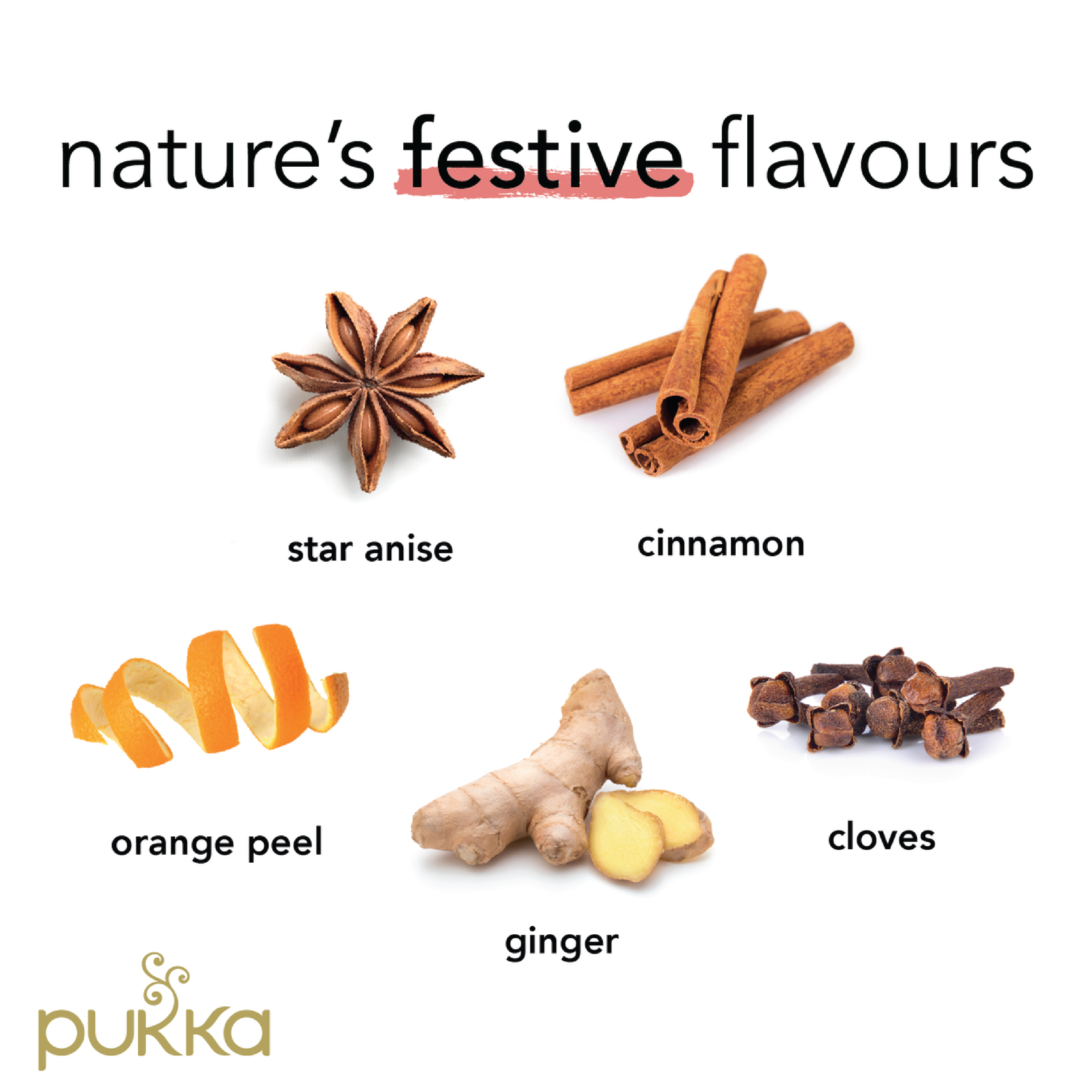 Pukka Te Winter Warmer, 20 stk.