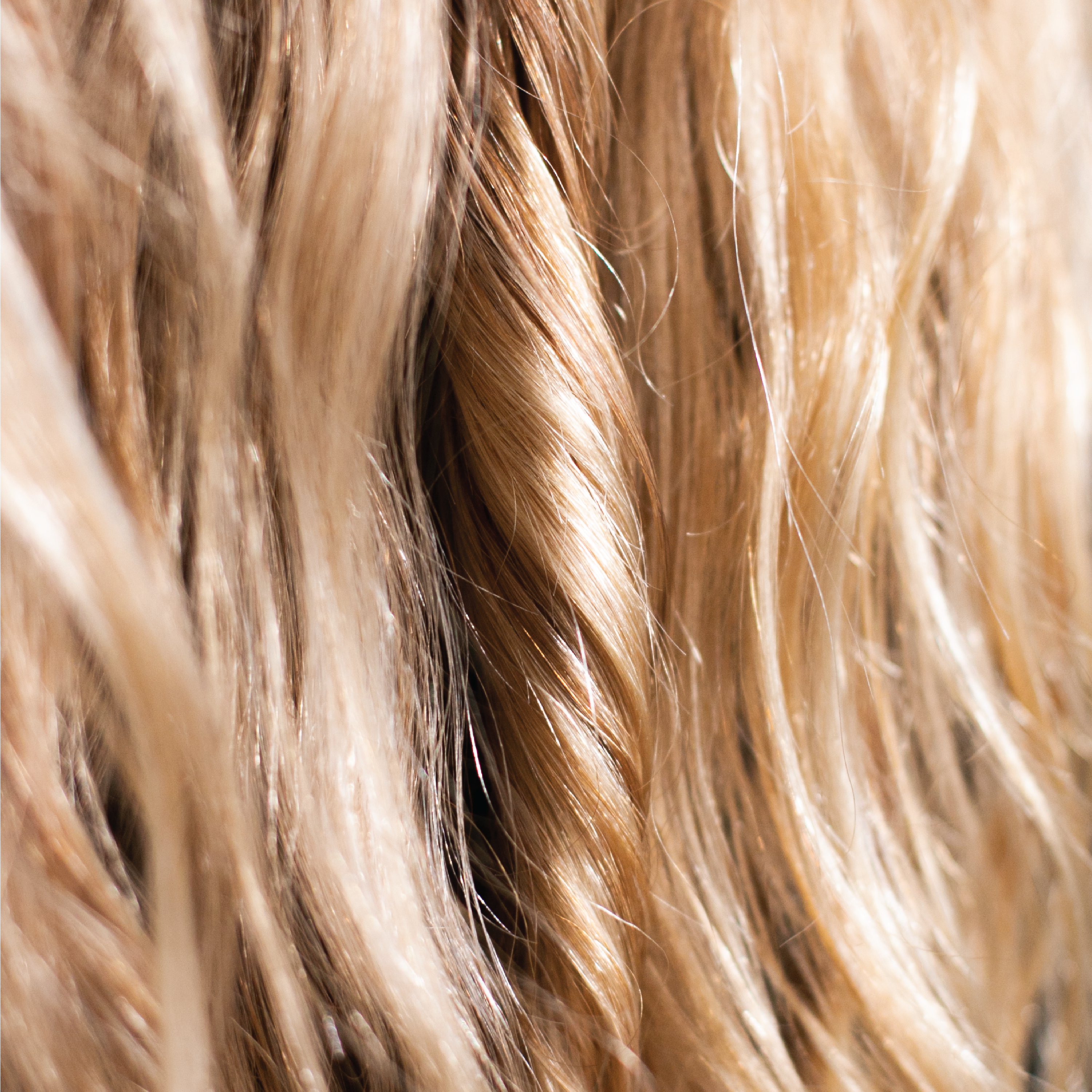 Scandinavian Biolabs Hair Protecting Oil, 30 ml