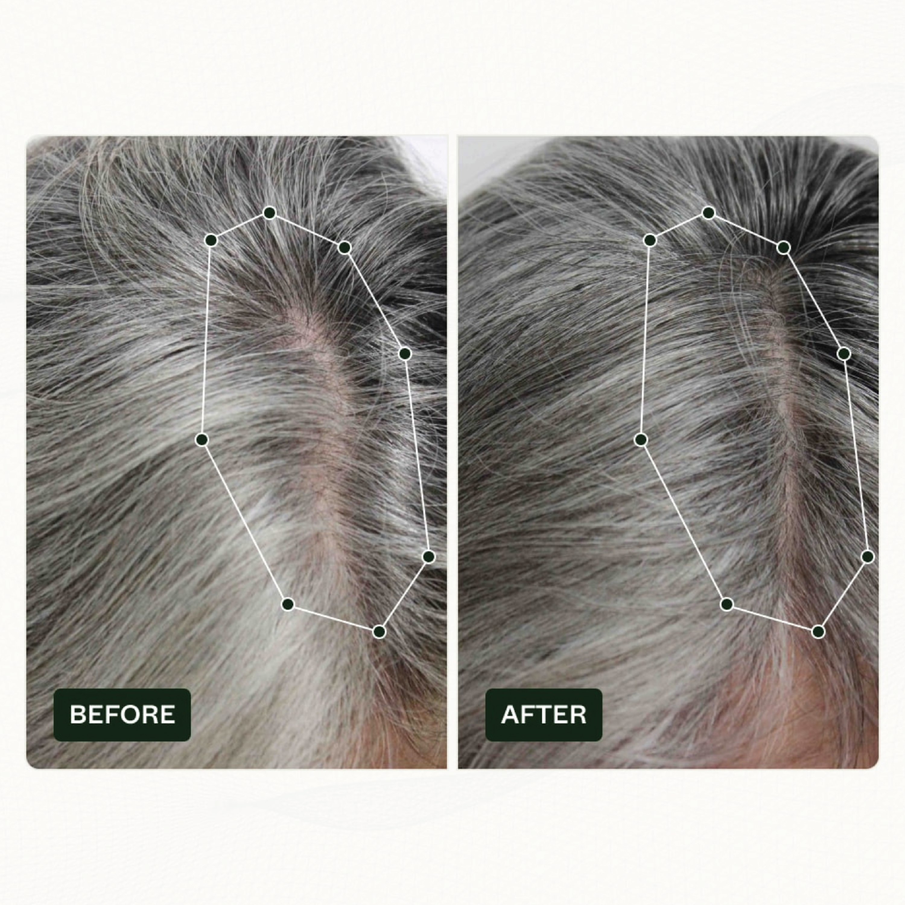 Scandinavian Biolabs Hair Routine Women, 1 sett