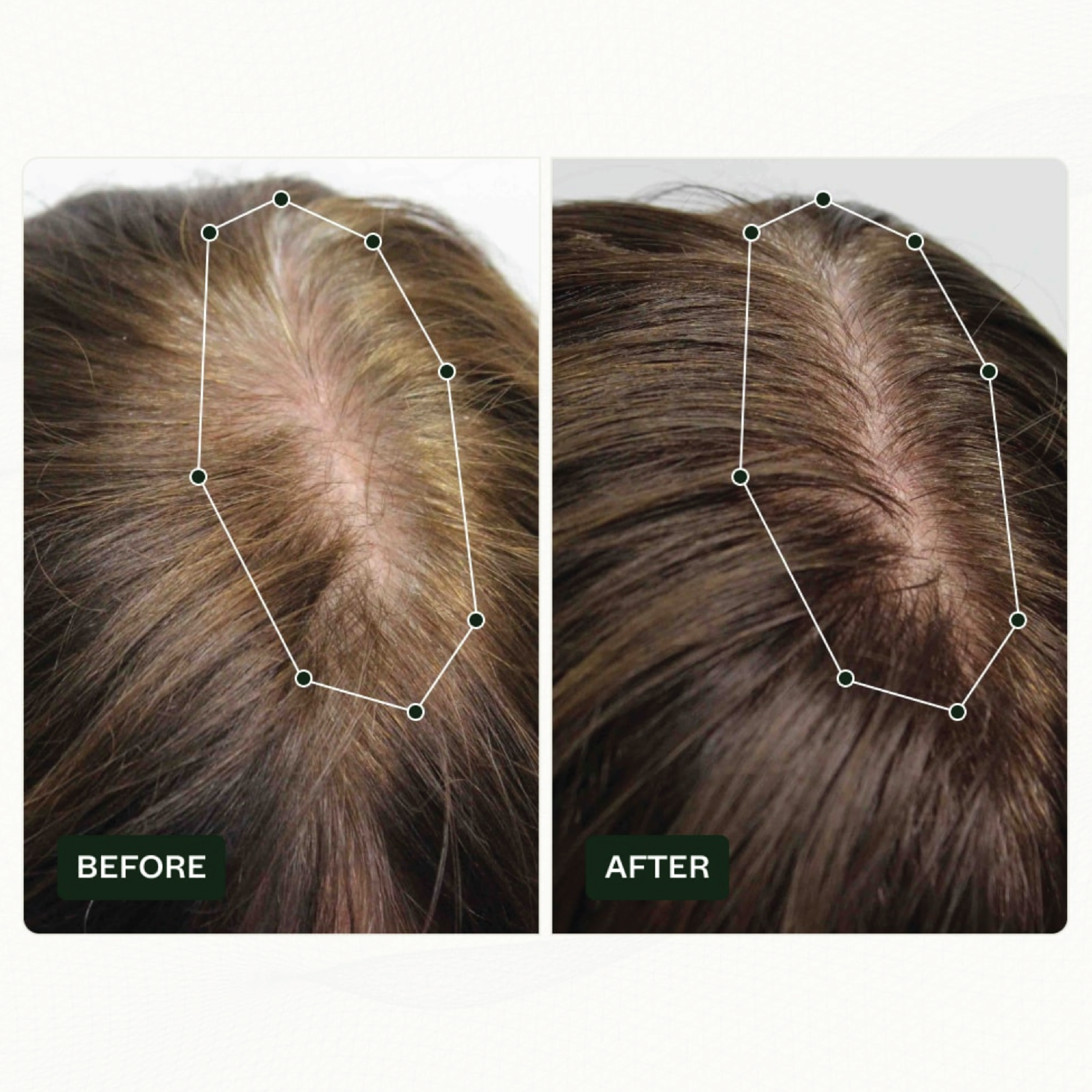 Scandinavian Biolabs Hair Routine Women, 1 sett