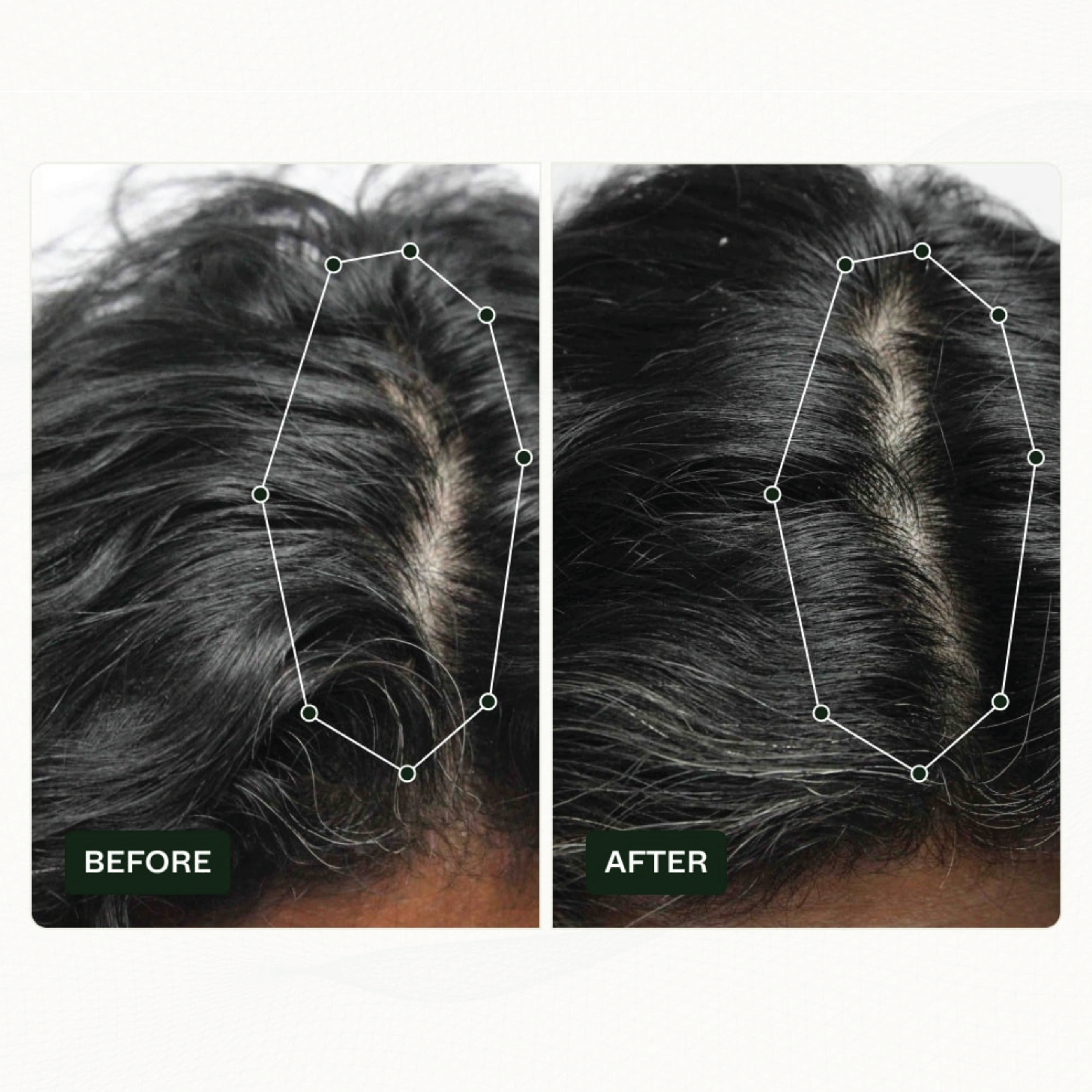 Scandinavian Biolabs Hair Routine Women, 1 sett