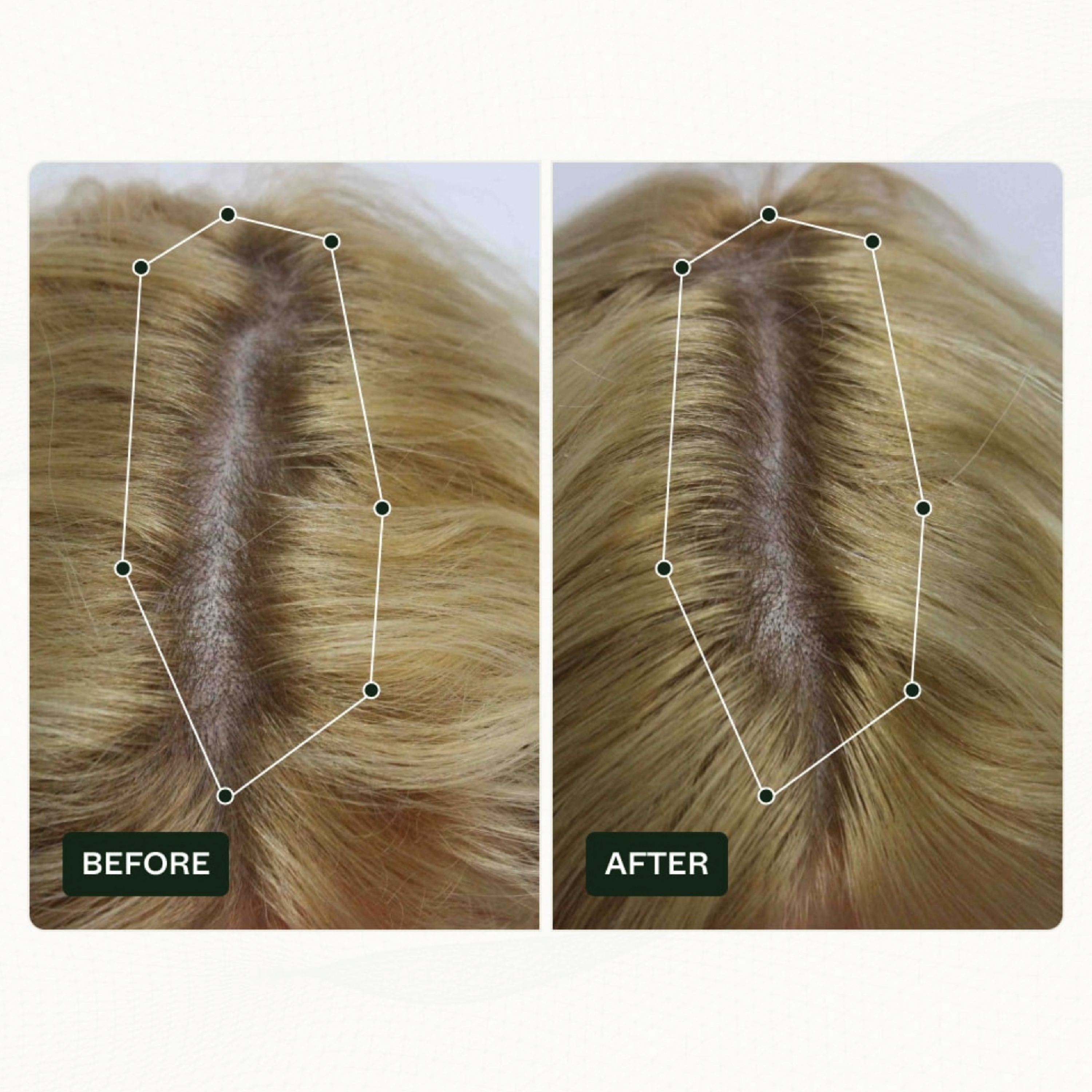 Scandinavian Biolabs Hair Routine Women, 1 sett