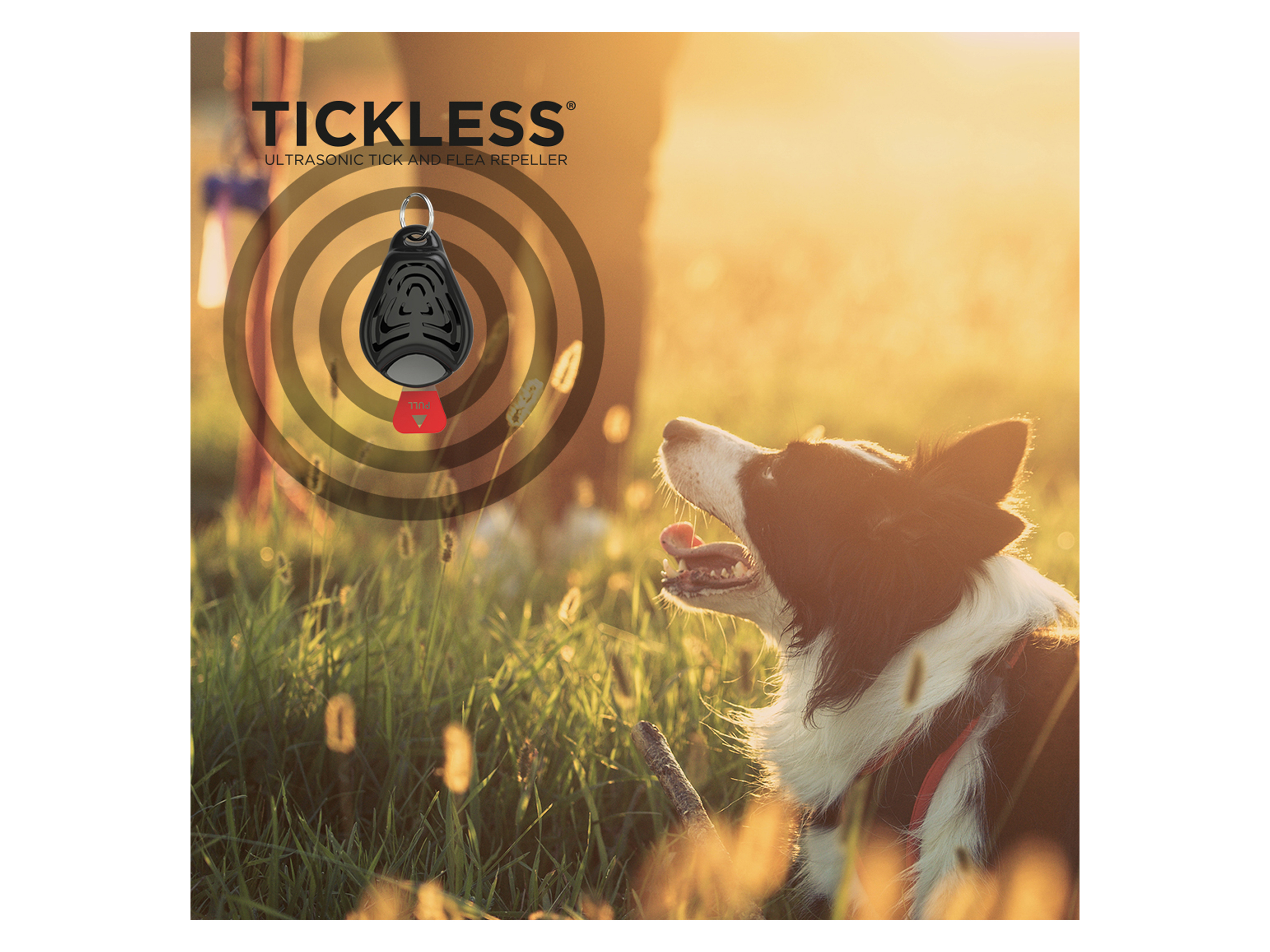 Tickless Pet Elektronisk Flåttjager, Svart, 1 stk.